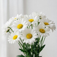 Obraz premium White daisy bouquet with fresh petals and delicate soft background
