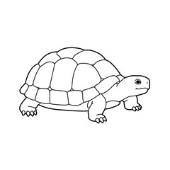 Jungle animals. Cute safari wild mammals. Funny exotic mammal, bird and reptile. Elephant, parrot, lion, crocodile, turtle and palm tree. Kids vector set.