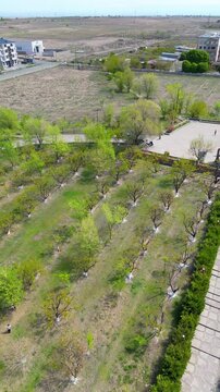 St. Ghazar Church is an Armenian Apostolic church in Metsamor, Armavir province of Armenia with drone