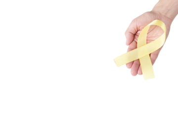 Yellow satin ribbon on the palm of a woman, isolated background. Cancer awareness symbol, suicide prevention campaign. copy space.