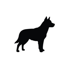 Jungle animals. Cute safari wild mammals. Funny exotic mammal, bird and reptile. Elephant, parrot, lion, crocodile, turtle and palm tree. Kids vector set.