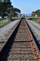 Railroad Tracks Heading Into the Distance
