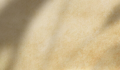 Naklejka premium 3D paint, tropical leaf shadow, sunlight concrete grunge texture wall, background outdoor interior , beauty product display skincare, cosmetic, backdrop