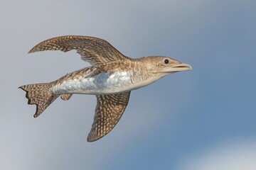 Unique depiction of a fish with wings soaring through a bright blue sky filled with clouds