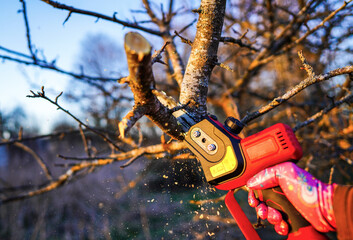 Chainsaw Cordless for tree pruning. Cut branch use Pruning Saw. Mini Cordless Chainsaw. Pruning...