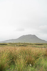 Obraz premium Mountain landscape in the Connemara region of Ireland, captured during a hike, with wild grasses in the foreground and a misty, overcast sky above.