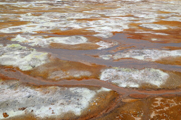 Myvatn geothermal area with its numerous hot springs in the Krafla volcanic system-Iceland