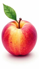 Juicy peach, watercolor style, isolated on white , vintage, illustration