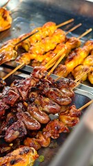 Grilled Skewers of Meat and Chicken Delight