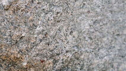 Textured Surface of Natural Gray Stone