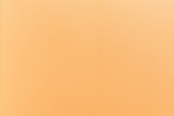 Long Brown Wooden Acoustic Wall Texture Panorama