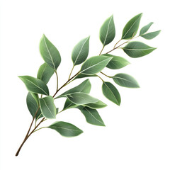 green leaves isolated on white