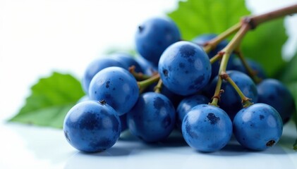 Fototapeta premium Luscious blue grapes, glistening wet, isolated , fruit, texture