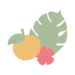 Printable and editable vector illustration or drawing of an orange fruit, pink flower, and tropical Monstera leaf on transparent background
