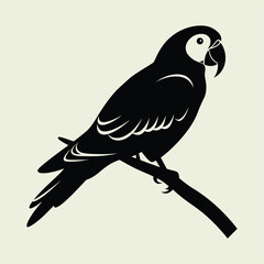Fototapeta premium Silhouettes of Parrot, Nature