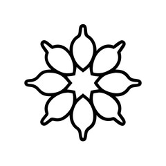 Decorative Flower Pattern with Central Core Icon Design
