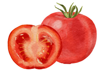 リアルな赤いトマト1個と半分