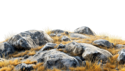 sheep in the mountains