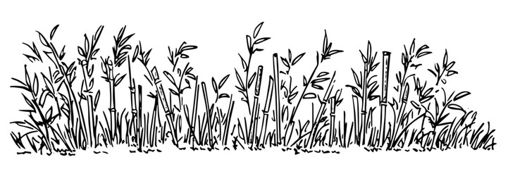 hand drawn wild grass and plants border vector illustration