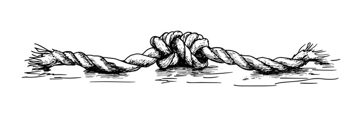 knotted rope hand drawn strong connection vector illustration