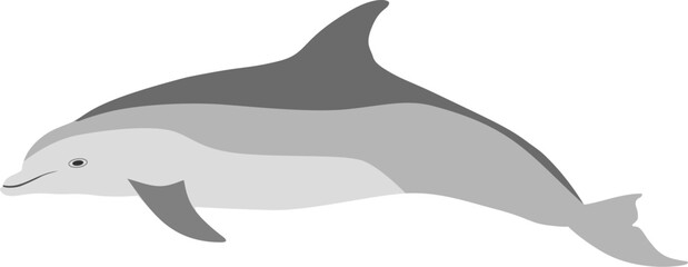 Vector flat illustration of dolphin on white background.