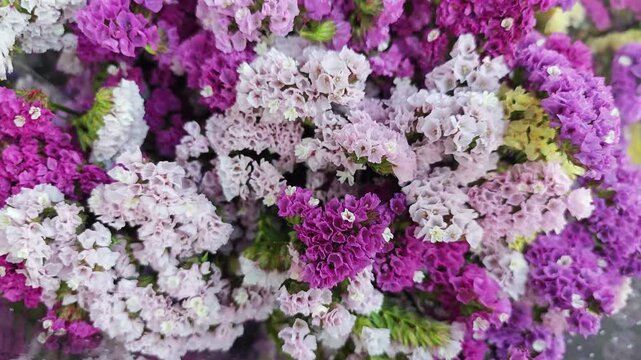 Statice flower