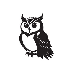 owl on white background