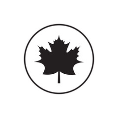 Graceful maple leaf outline icon in vector format for autumn designs. EPS10