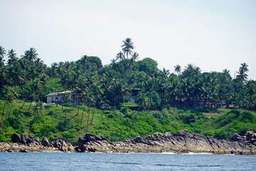 tropical coast from mirissa in sri lanka
