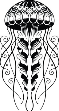 Jellyfish SVG