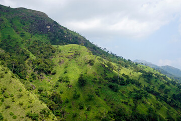 Fototapeta premium scenic green mountain landscape in sri lanka