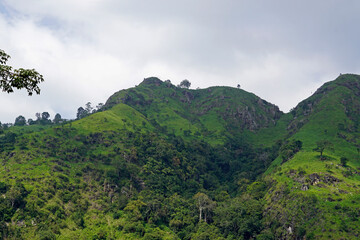 scenic green mountain landscape in sri lanka
