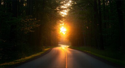 Serene road leading into a sunset through lush trees  