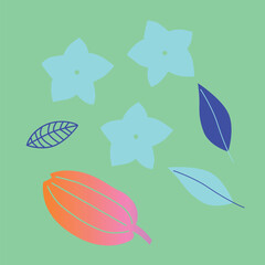 Appetizing fruit, vegetables and berries collection.