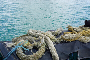 Fototapeta premium fishing harbor in mirissa in sri lanka
