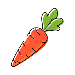 Carrot illustration with green leaves on a white background  