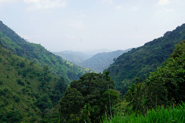 Fototapeta premium scenic green mountain landscape in sri lanka