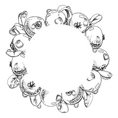 Cranberry lingonberry with water dew drops and green leaves, vector hand drawn in ink, ripe forest berry bearberry teaberry wintergreen. Isolated circle wreath frame. Dessert cafe menu, farmers market