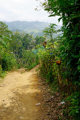 scenic green mountain landscape in sri lanka