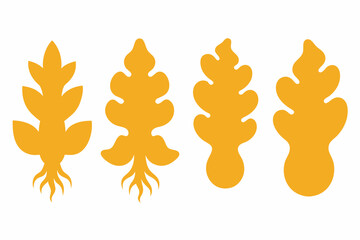 set of Ginger Root silhouette vector illustration