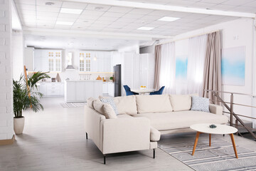 Stylish studio apartment interior with comfortable beige sofa