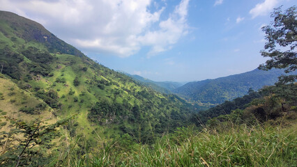Naklejka premium scenic green mountain landscape in sri lanka