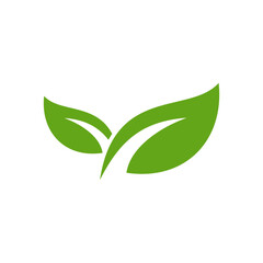 Natural green leaf icon isolated on white background