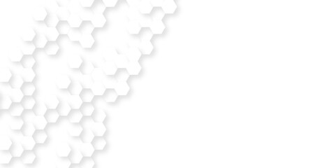 Background with hexagons . Abstract background with lines . white texture background . hexagon abstract background. Surface polygon pattern with glowing hexagon paper texture and futuristic business