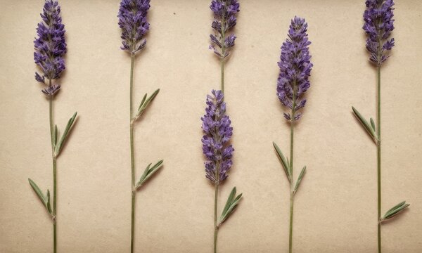 Elegant lavender floral arrangement on soft beige background with rustic charm - Powered by Adobe