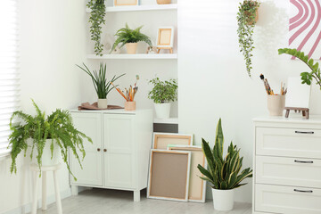 Shelving unit with different green houseplants and other decor at home