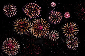 Fireworks burst brightly against a deep night sky