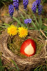 Ostereiei Färben mit Zwiebelschalen   im nest