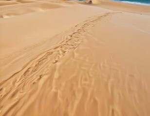 Golden sand slopes gently to turquoise waves, creating a tranquil scene , golden, landscape
