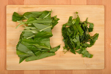 Chopped and whole fresh wild garlic (Allium ursinum) leaves are arranged on a light wooden cutting...